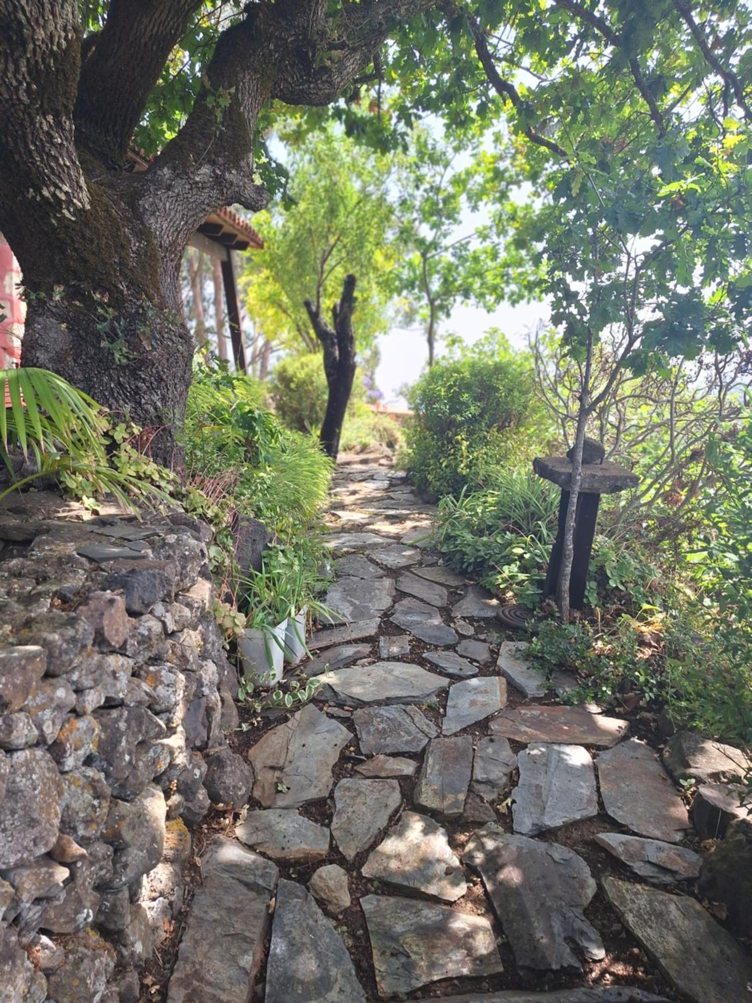 Casa Rural Con Piscina Privada El Roble Moya  Bagian luar foto