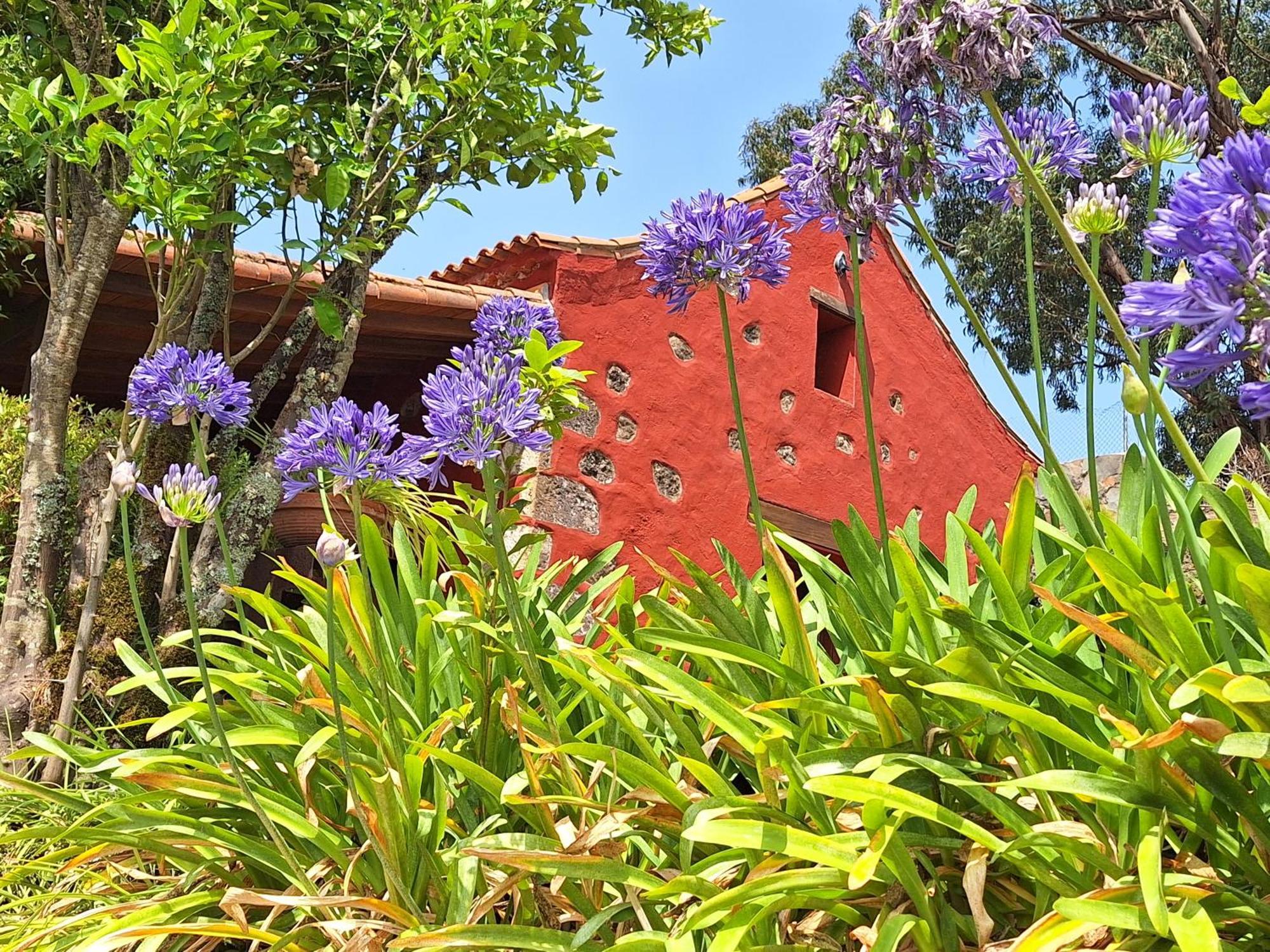 Casa Rural Con Piscina Privada El Roble Moya  Bagian luar foto