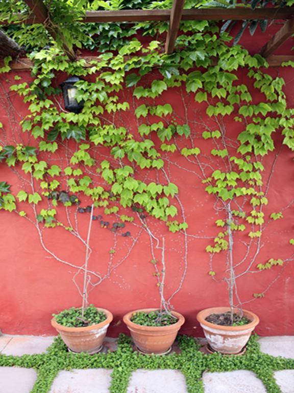 Casa Rural Con Piscina Privada El Roble Moya  Bagian luar foto