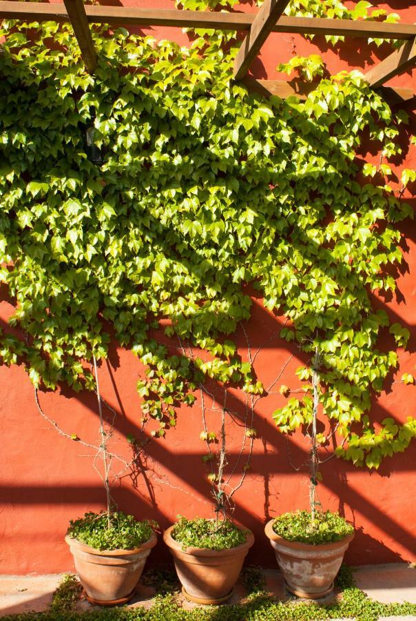 Casa Rural Con Piscina Privada El Roble Moya  Bagian luar foto
